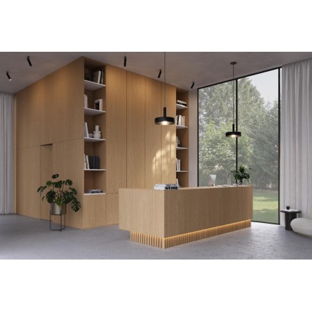 Plokštė ClicWall 0H915 V2A Master Oak šviesus