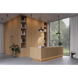Plokštė Clicwall 0H915 V2A FR Master Oak light natural