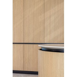 Plokštė Clicwall 0H915 V2A FR Master Oak light natural