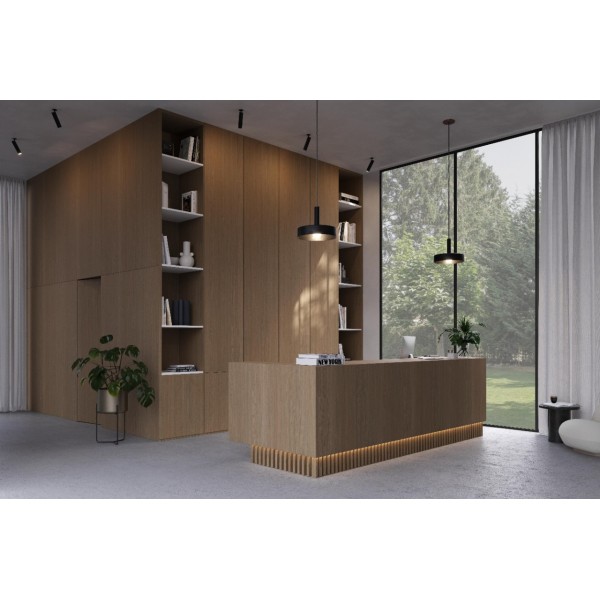 Plokštė Clicwall 0H914 V2A FR Master Oak double fumed