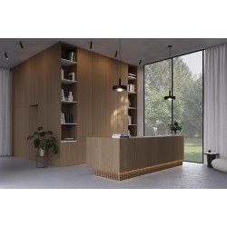 Plokštė Clicwall 0H914 V2A MR Master Oak double fumed