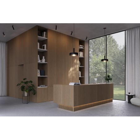 Plokštė Clicwall 0H914 V2A MR Master Oak double fumed