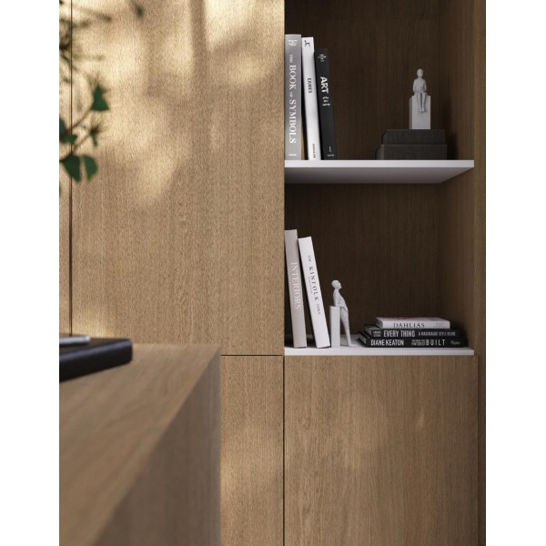 Plokštė Clicwall 0H914 V2A MR Master Oak double fumed